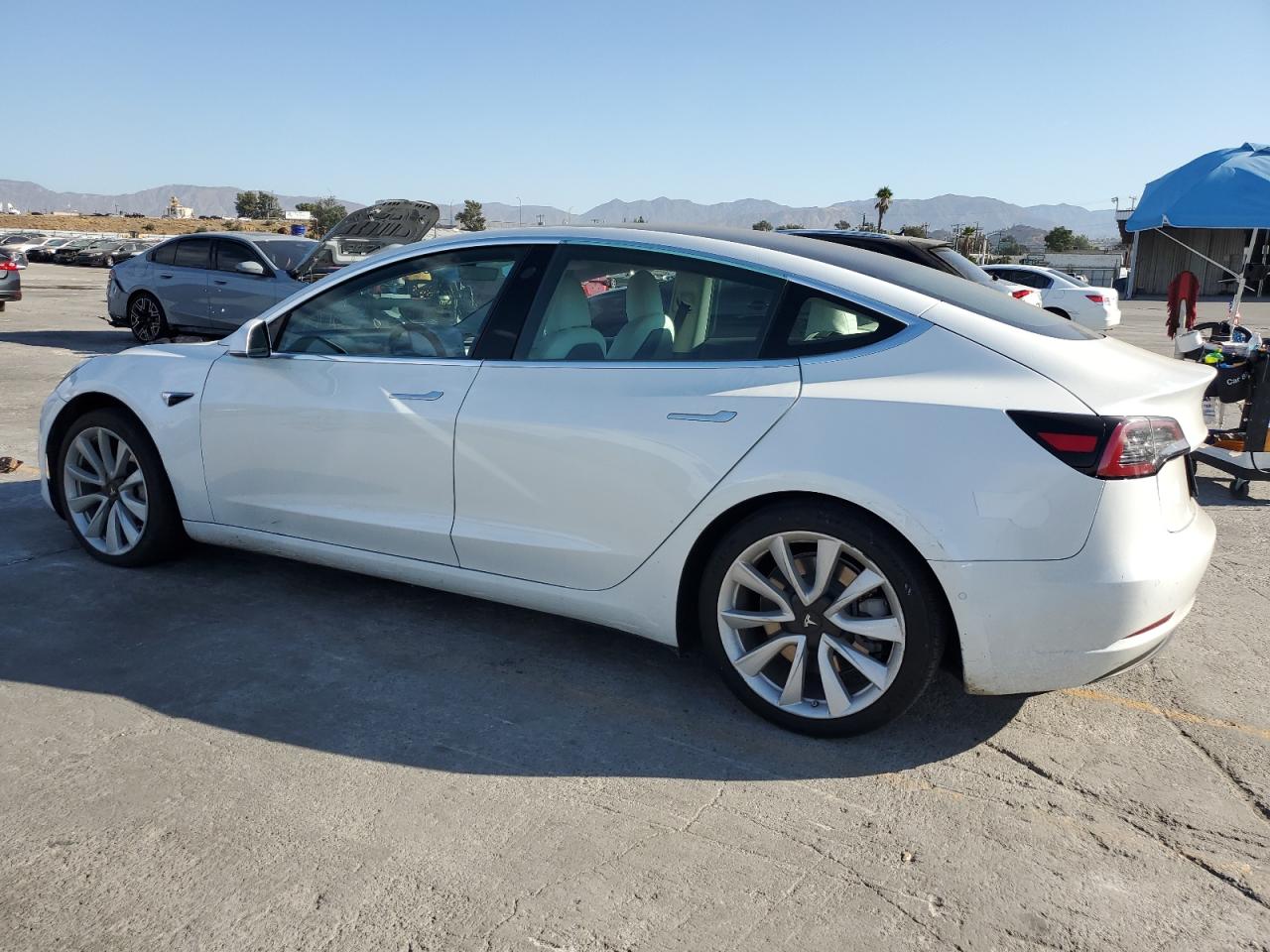 2020 Tesla Model 3 white null electric 5YJ3E1EAXLF806858 photo #3