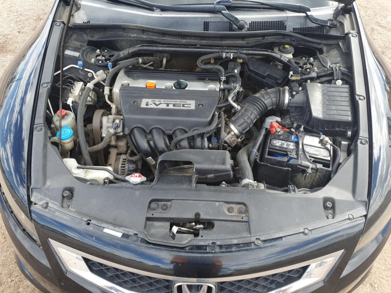 2009 Honda Accord Exl VIN: 1HGCS12899A010695 Lot: 84067775