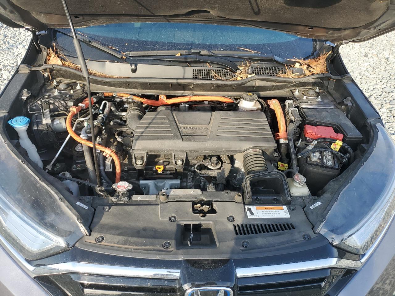 2021 Honda Cr-V Touring VIN: 7FART6H96ME033570 Lot: 81800545