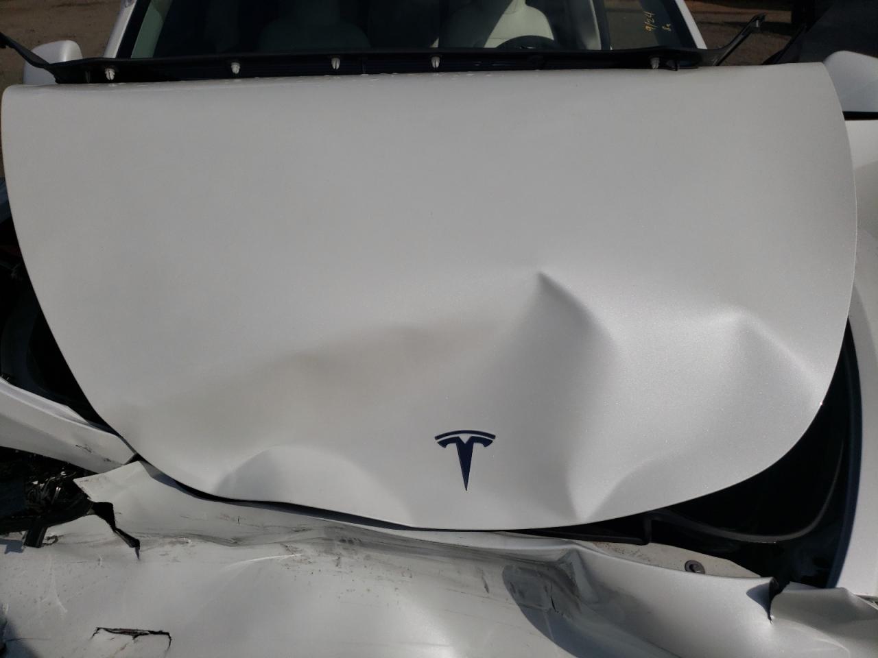 2024 Tesla Model Y VIN: 7SAYGDEE0RF129349 Lot: 81783765