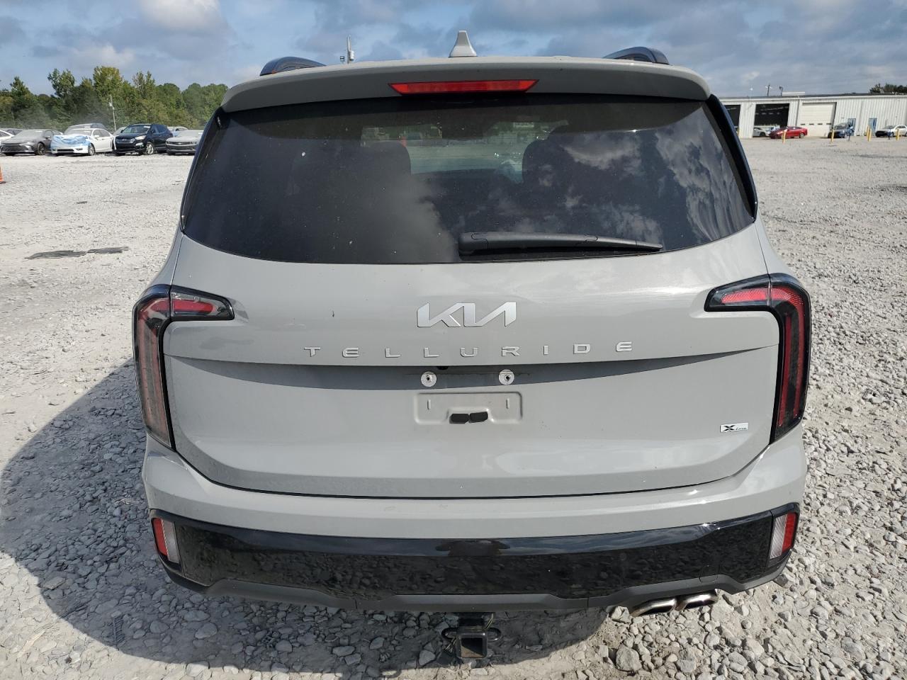 2024 Kia Telluride Ex VIN: 5XYP3DGC4RG491094 Lot: 81747235