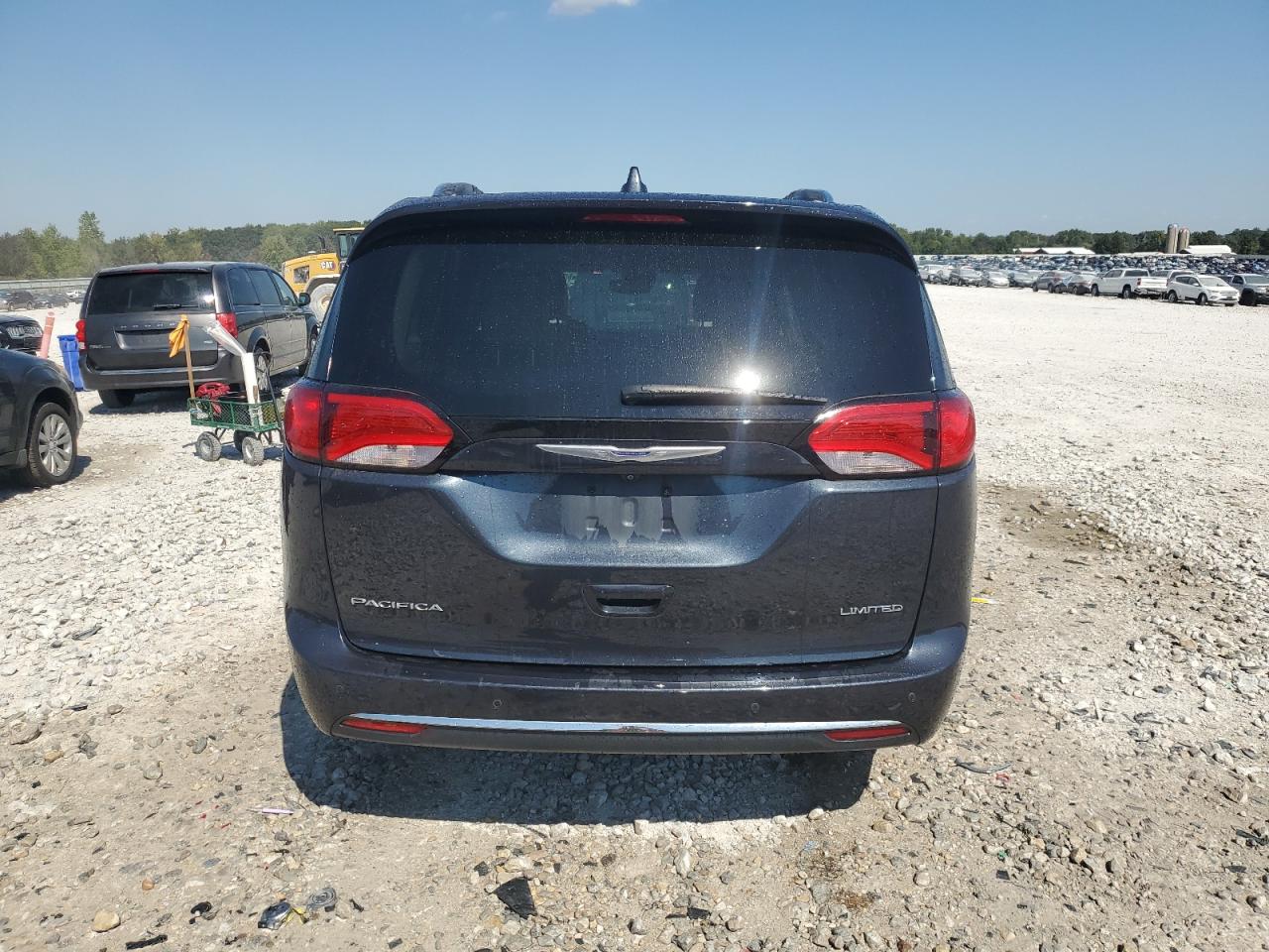2020 Chrysler Pacifica Limited VIN: 2C4RC1GG7LR198500 Lot: 80061365