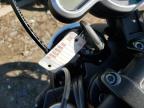 2019 DUCATI SCRAMBLER 1100   for sale at Copart IL - CHICAGO NORTH
