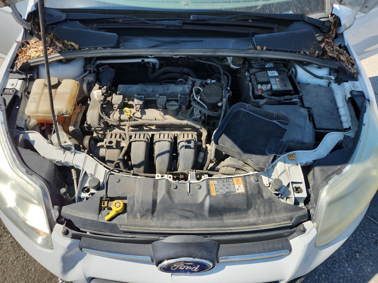 2014 Ford Focus Se VIN: 1FADP3F29EL351542 Lot: 71977275