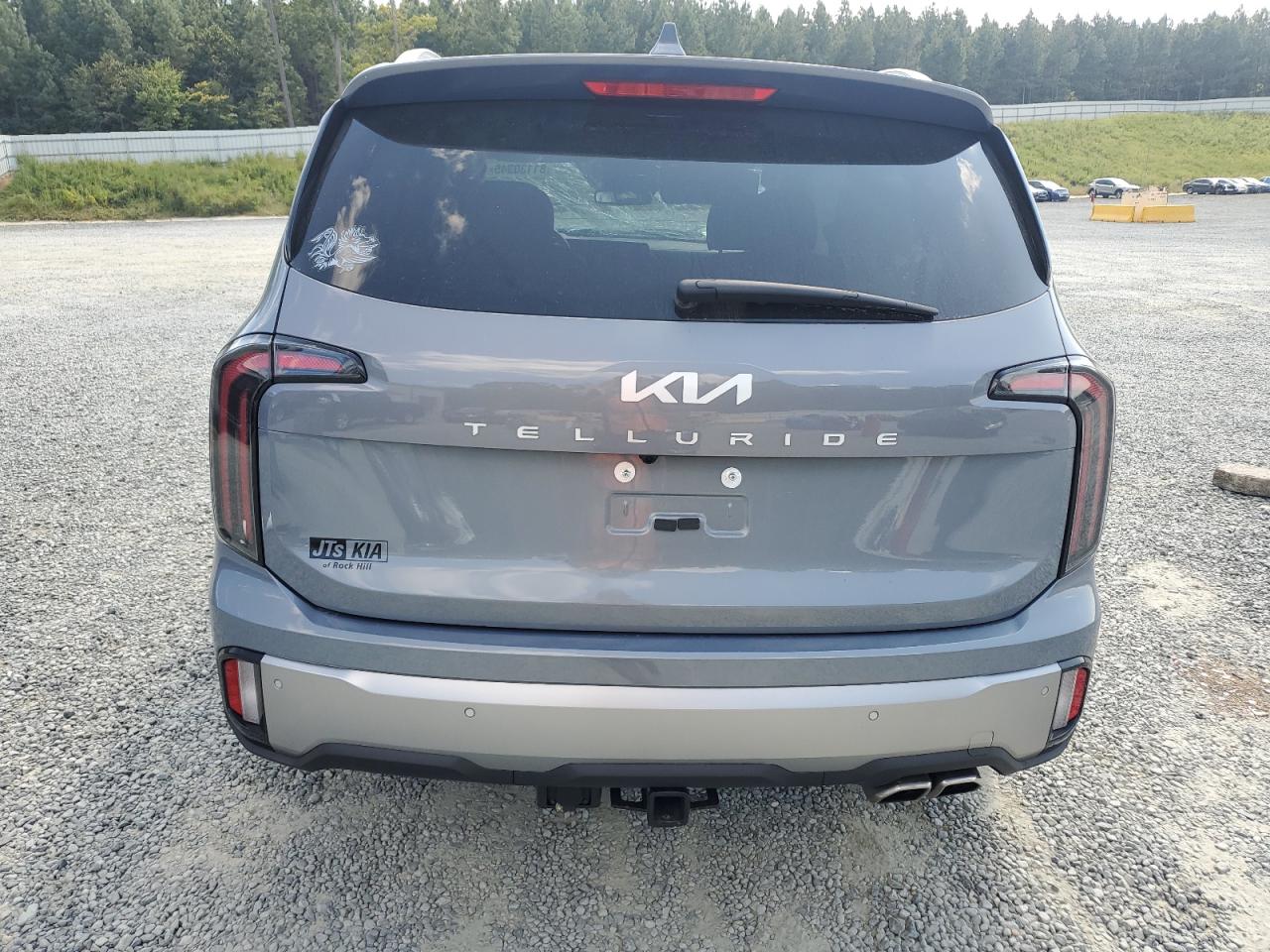 2024 Kia Telluride Sx VIN: 5XYP54GC0RG564181 Lot: 81130345