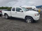 2006 TOYOTA TACOMA ACCESS CAB   for sale at Copart CT - HARTFORD SPRINGFIELD