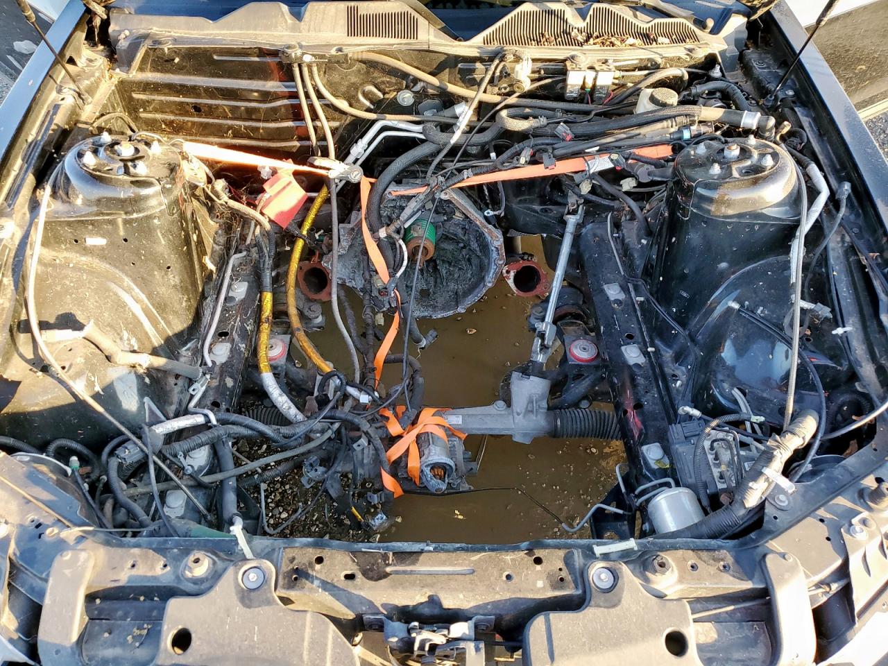 2014 Ford Mustang Gt VIN: 1ZVBP8CF7E5291168 Lot: 81684065