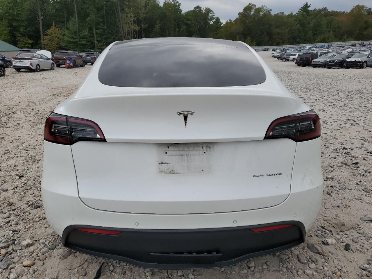 2022 Tesla Model Y VIN: 7SAYGDEE3NF400365 Lot: 80597855
