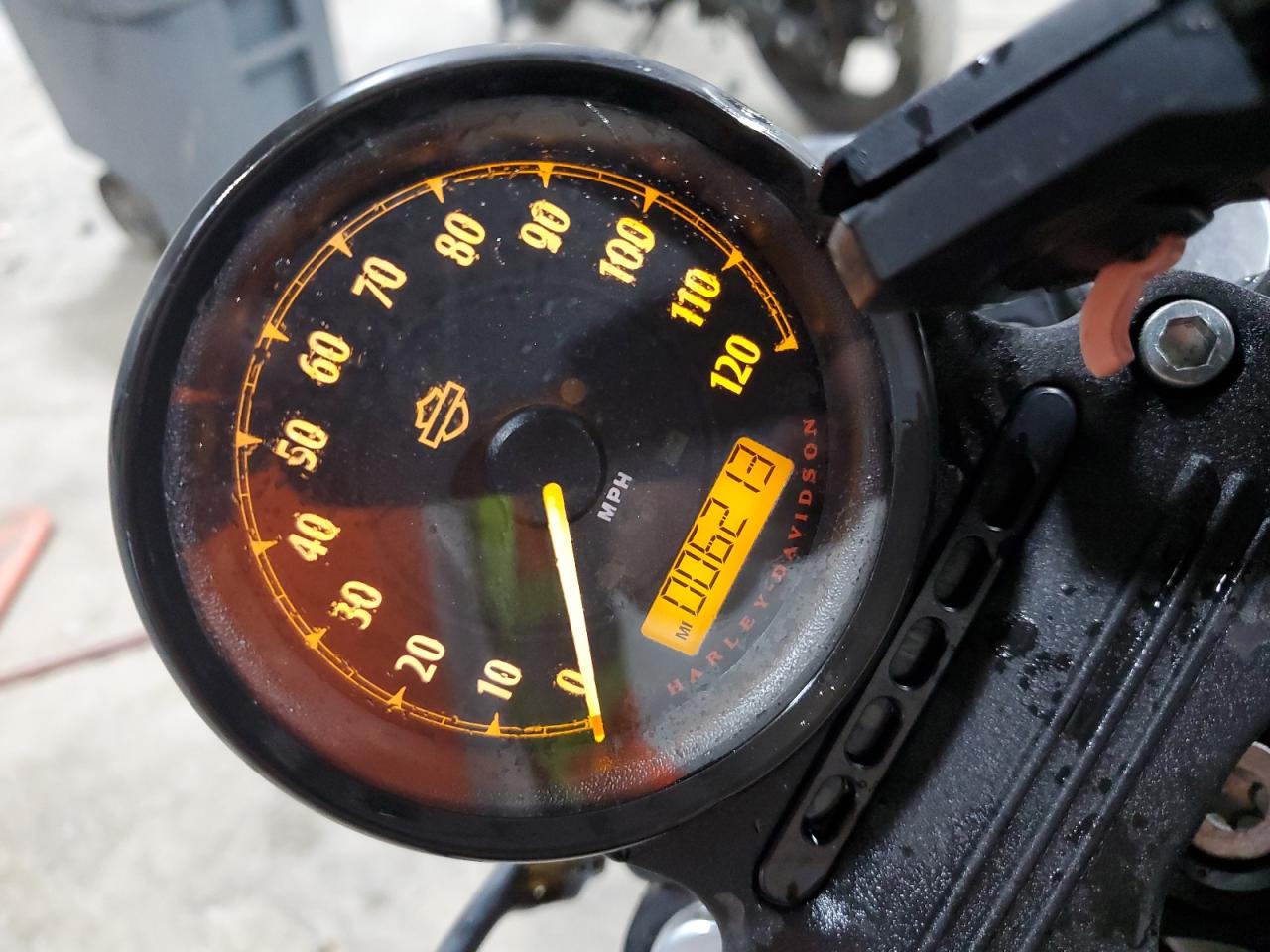 2020 Harley-Davidson Xl883 N VIN: 1HD4LE216LB408733 Lot: 81661485