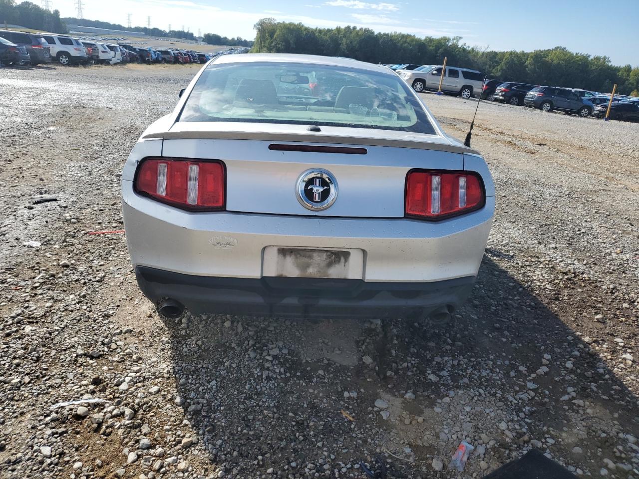 2011 Ford Mustang VIN: 1ZVBP8AM1B5121790 Lot: 81656725