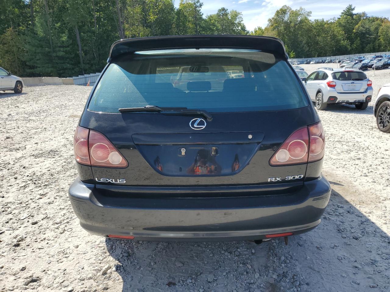 2000 Lexus Rx 300 VIN: JT6HF10U6Y0131379 Lot: 80680065