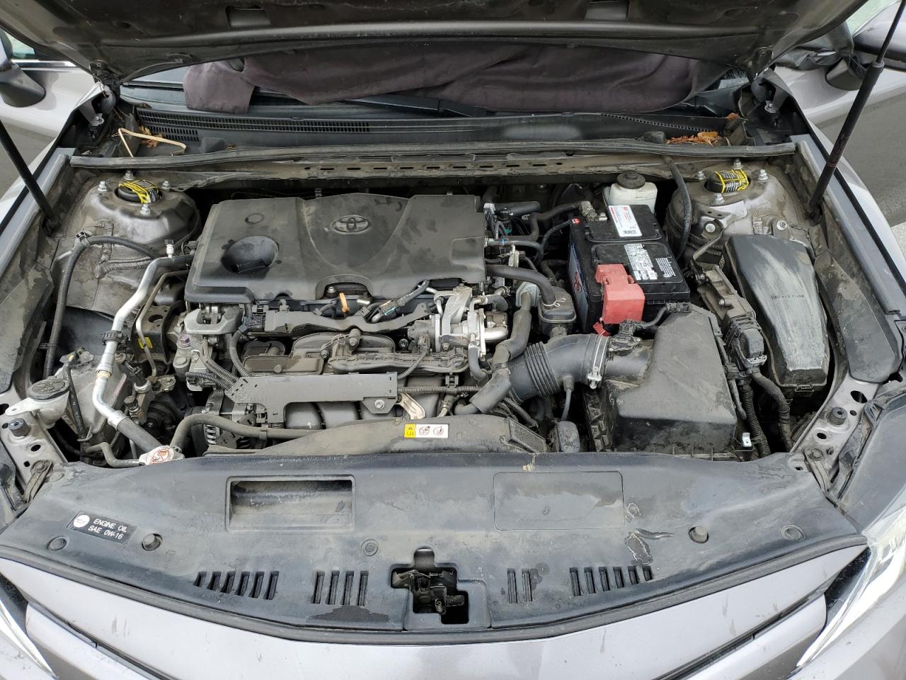 2019 Toyota Camry VIN: 4T1B11HK2KU192496 Lot: 81767145