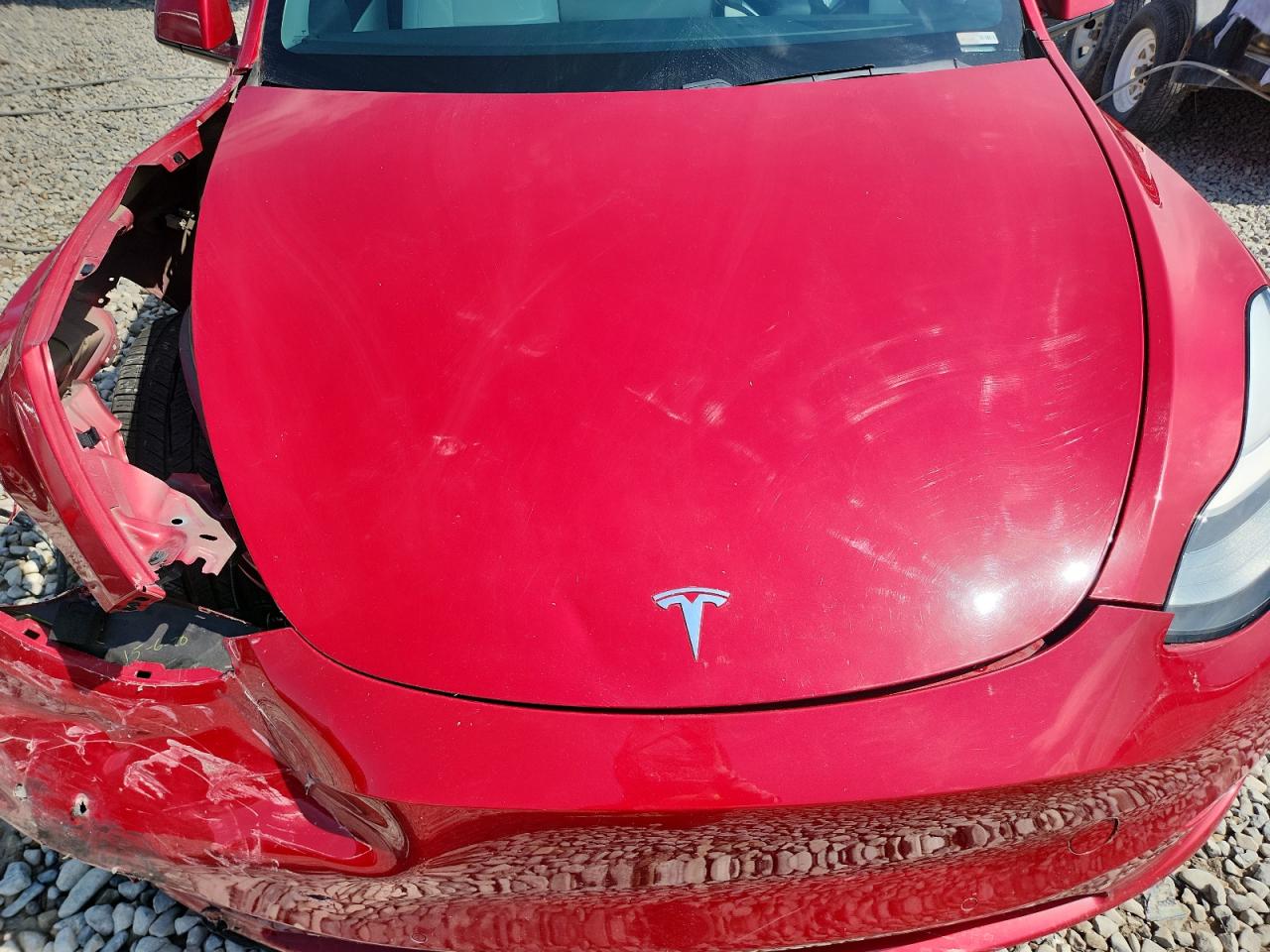 2020 Tesla Model Y VIN: 5YJYGDEE0LF023195 Lot: 71713515