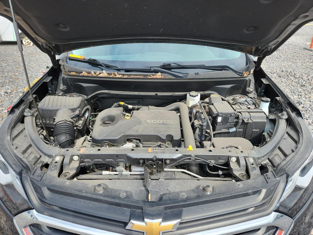 2021 Chevrolet Equinox Lt VIN: 3GNAXKEV5ML369789 Lot: 81695865