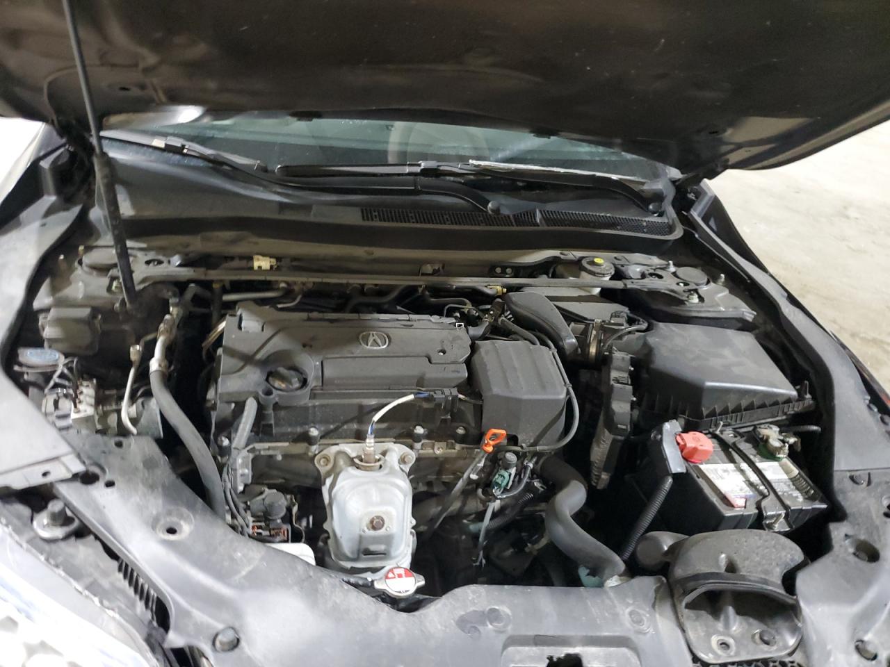 2016 Acura Tlx VIN: 19UUB1F37GA002207 Lot: 71405525