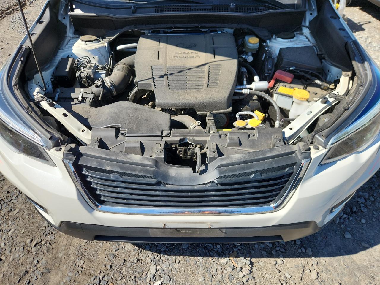 2021 Subaru Forester Limited VIN: JF2SKASC7MH404714 Lot: 80508175