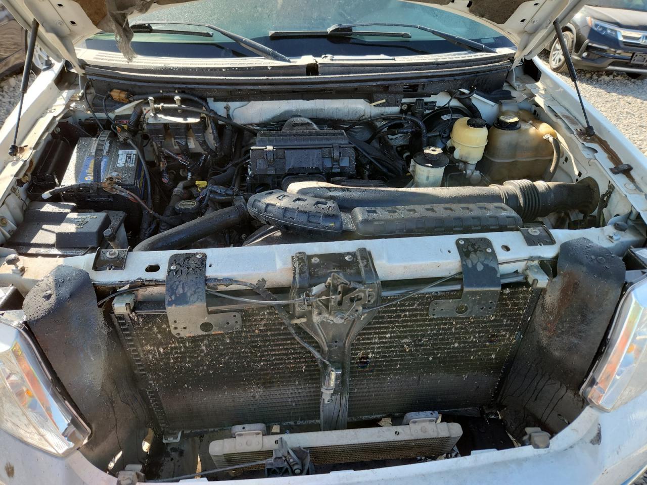 2007 Ford F150 Supercrew VIN: 1FTPW14V97KC26710 Lot: 81043525