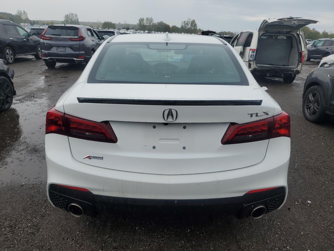 2019 Acura Tlx Technology VIN: 19UUB1F66KA801009 Lot: 80084265