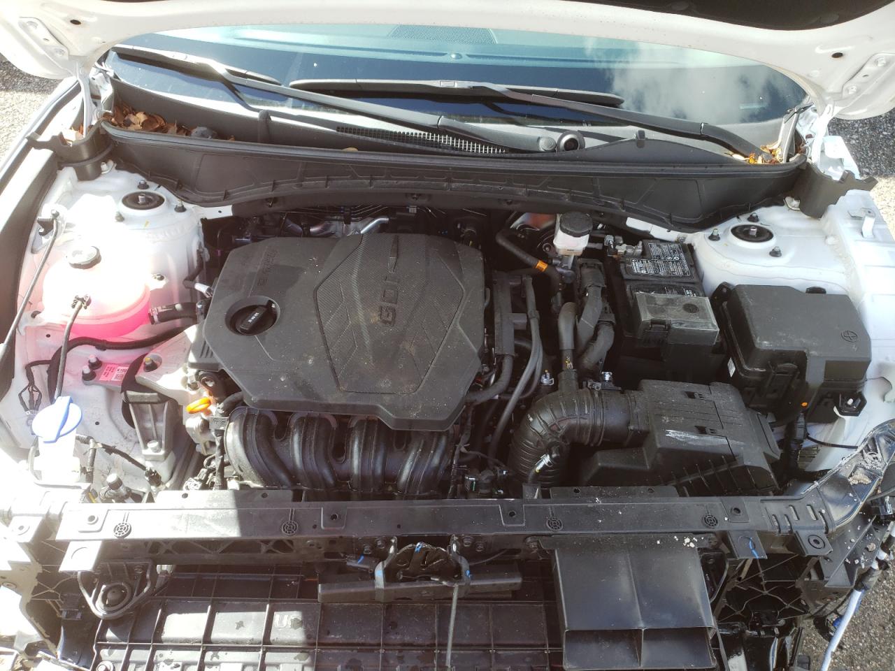 2024 Hyundai Tucson Sel VIN: 5NMJF3DEXRH389317 Lot: 81228625