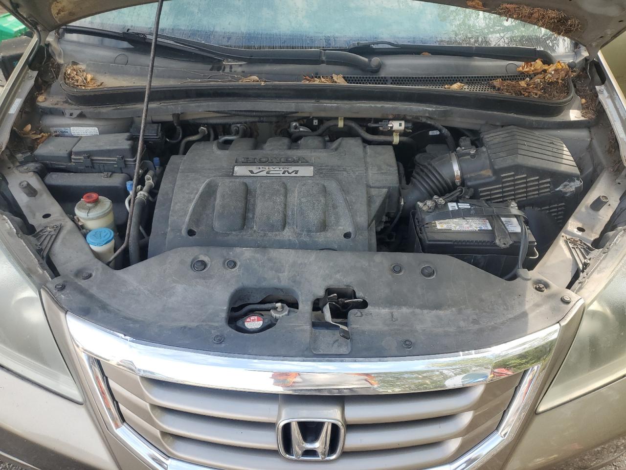 2010 Honda Odyssey Exl VIN: 5FNRL3H67AB503696 Lot: 71921975