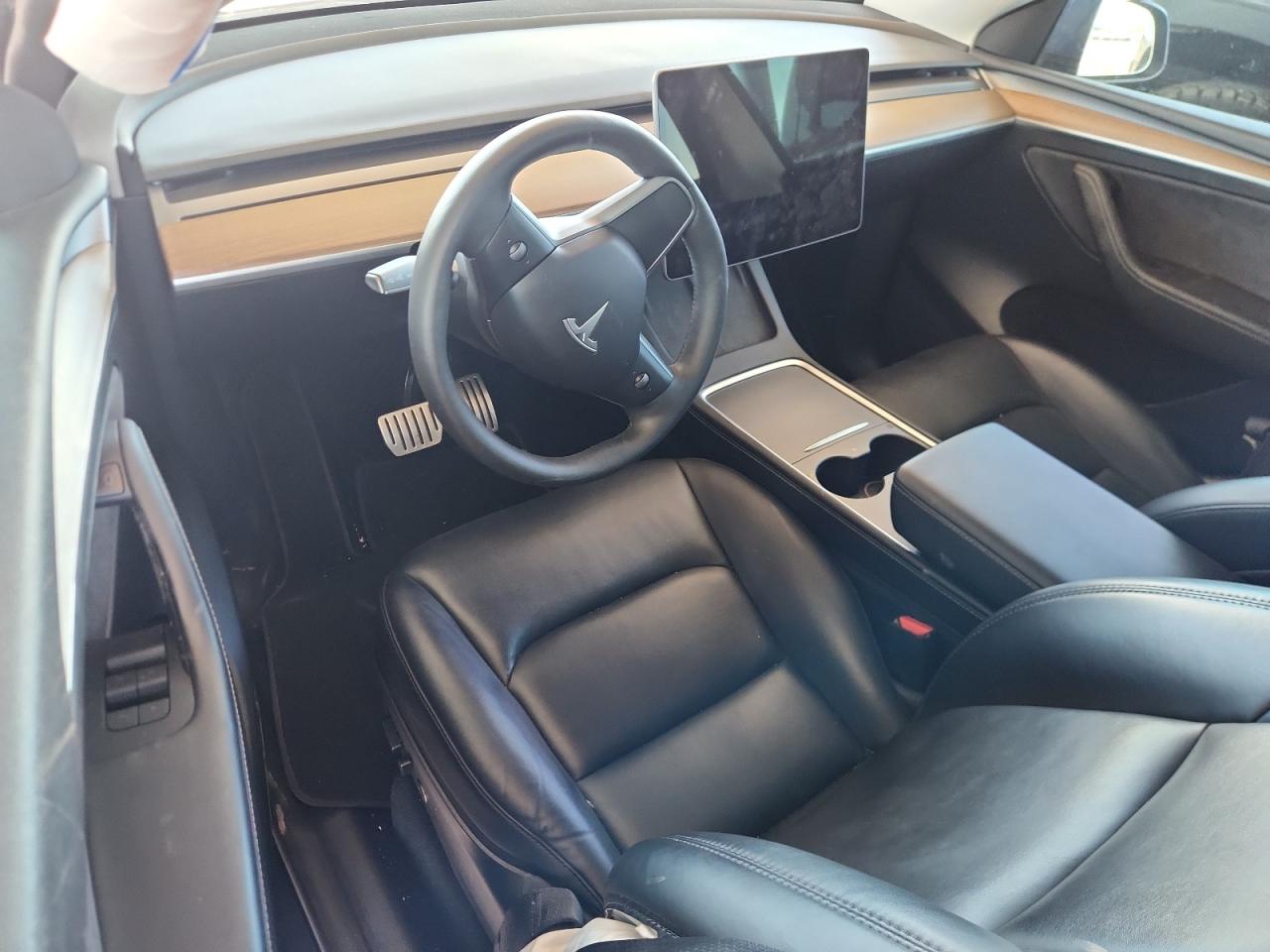 2022 Tesla Model Y VIN: 7SAYGDEFXNF542785 Lot: 81153785