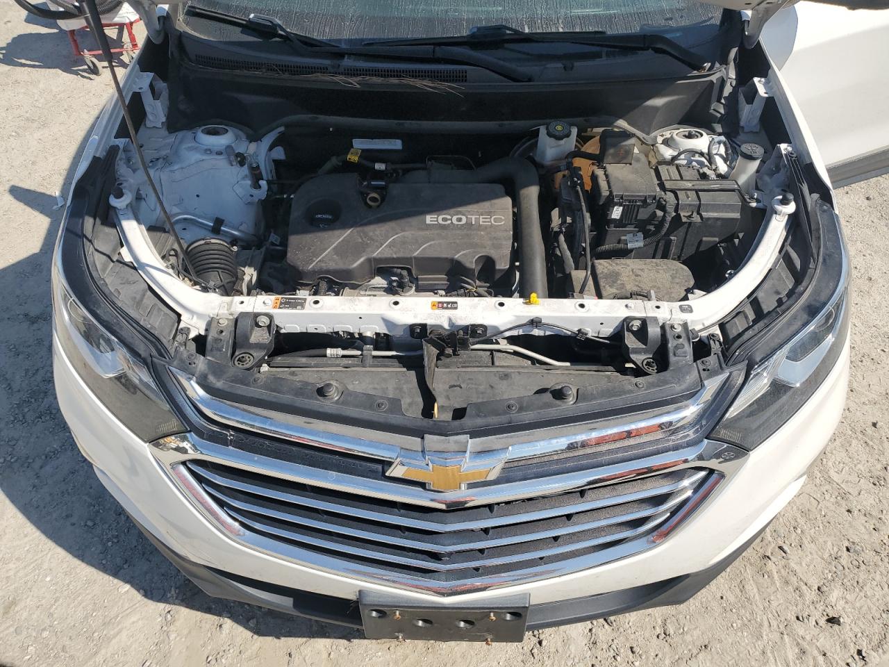 2019 Chevrolet Equinox Premier VIN: 2GNAXNEV0K6161712 Lot: 81473245