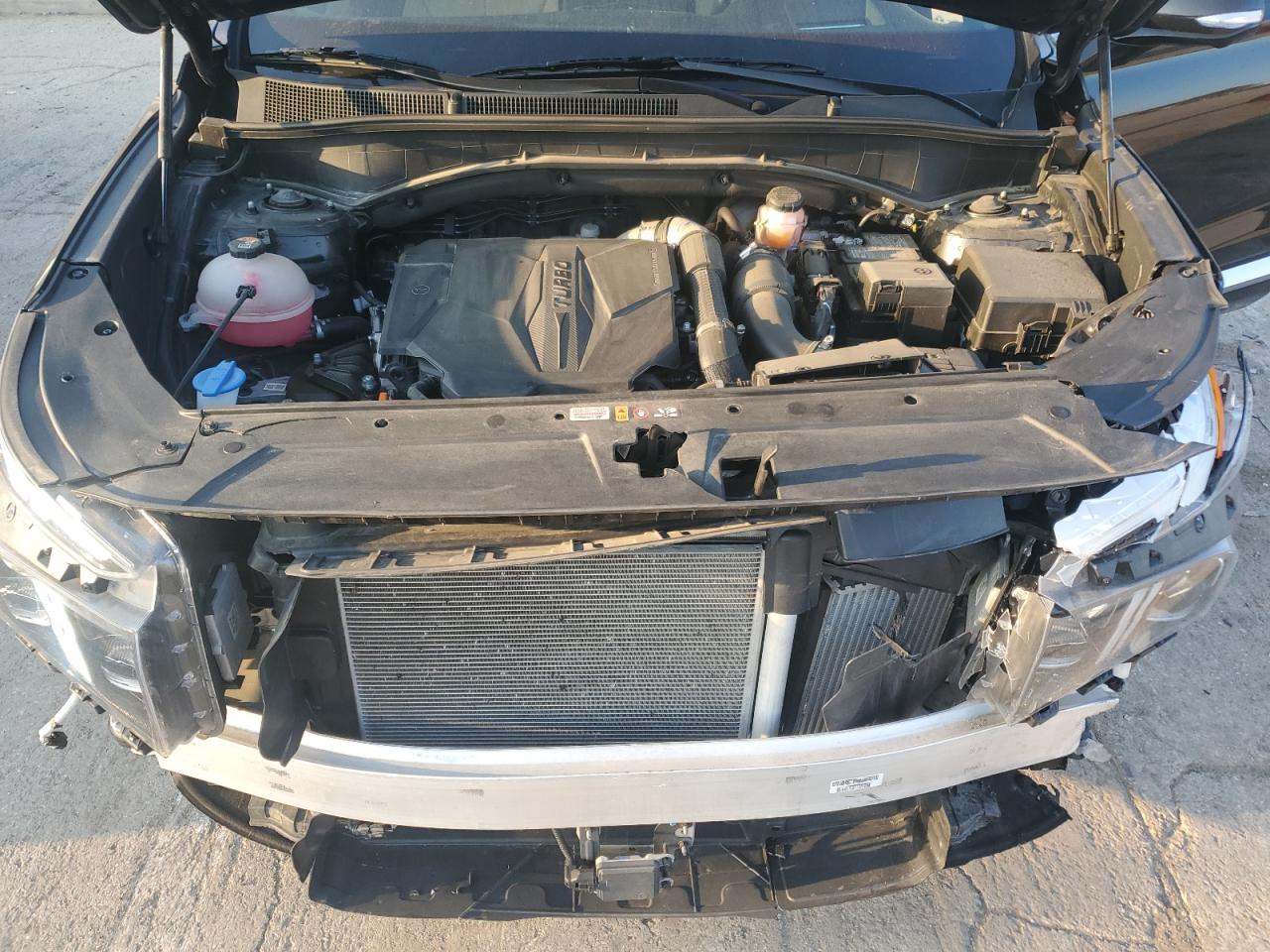 2023 Hyundai Santa Fe Calligraphy VIN: 5NMS5DAL9PH614596 Lot: 81237705