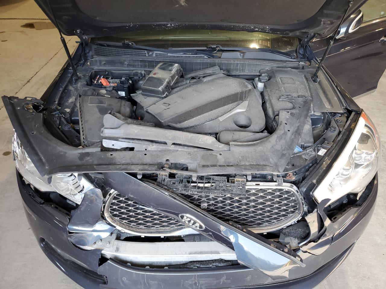 2015 Kia K900 VIN: KNALW4D46F6022443 Lot: 81701525