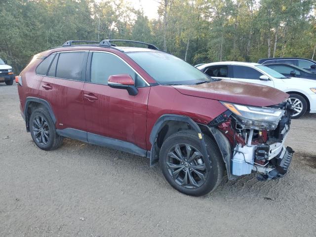  TOYOTA RAV4 2023 Красный