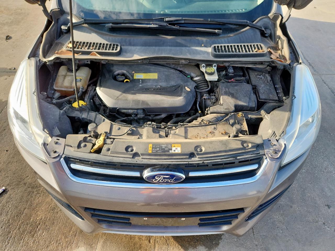 2013 Ford Escape Sel VIN: 1FMCU0HXXDUD67453 Lot: 84038685