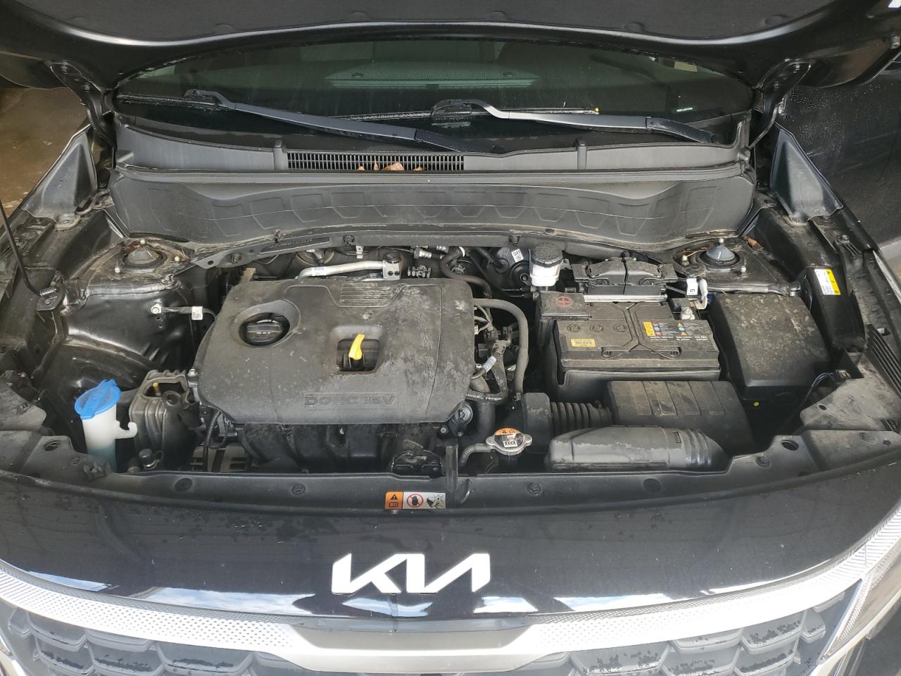 2023 Kia Seltos Lx VIN: KNDEPCAA9P7379110 Lot: 81572415