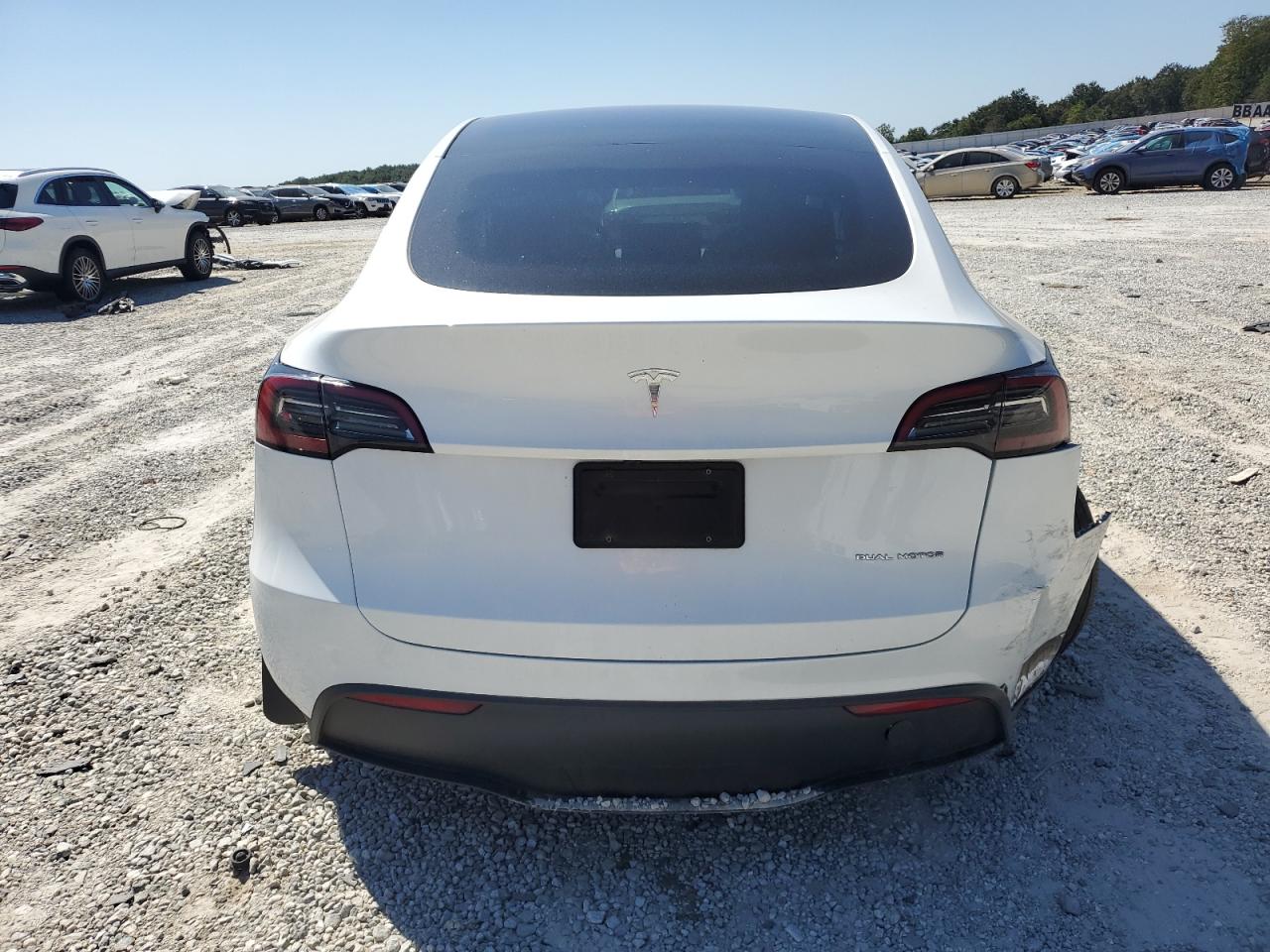 2023 Tesla Model Y VIN: 7SAYGDEE0PA173250 Lot: 80202815