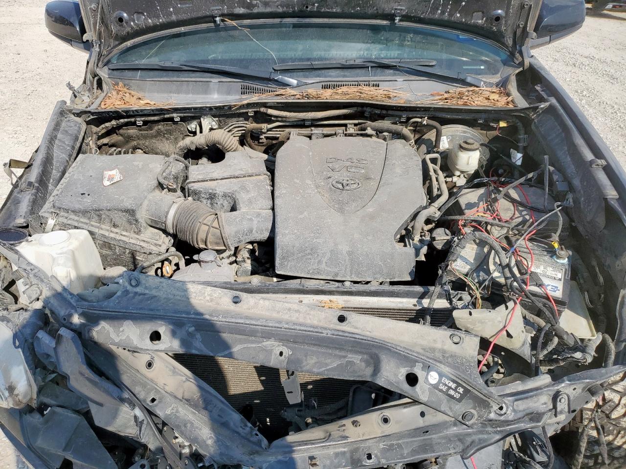 2019 Toyota Tacoma Double Cab VIN: 3TMCZ5AN8KM230234 Lot: 80646285