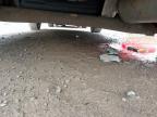 2014 MAZDA 2 TAMURA for sale at Copart WESTBURY