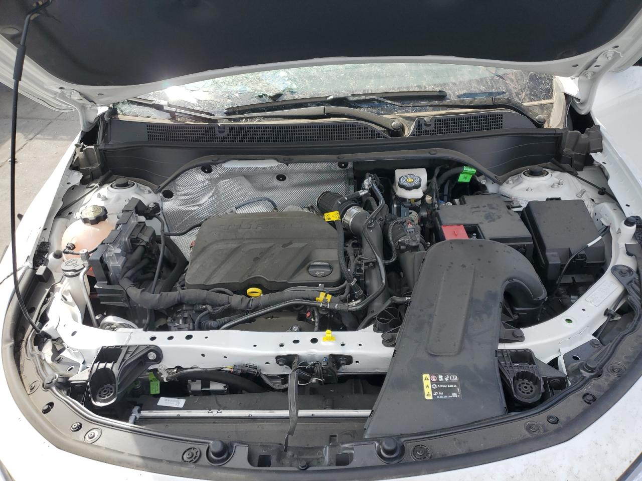 2025 Buick Envista Avenir VIN: KL47LCEP8SB189575 Lot: 81500945