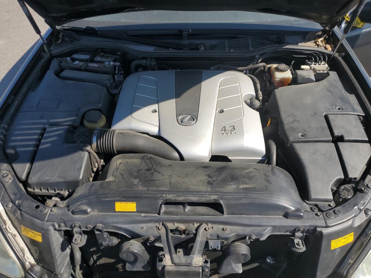 2006 Lexus Ls 430 VIN: JTHBN36F065037745 Lot: 71531845