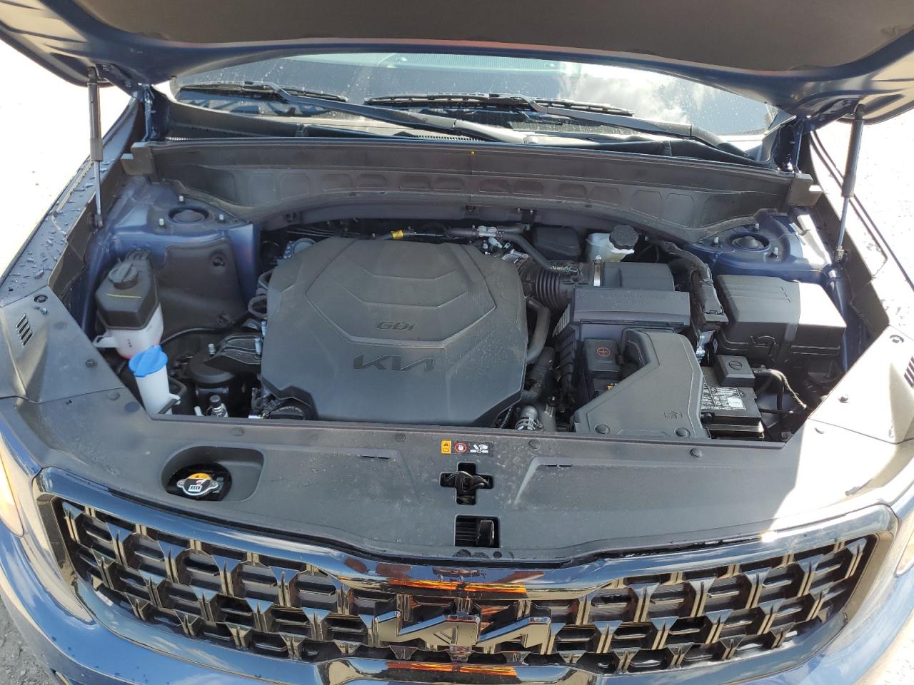 2025 Kia Telluride Sx VIN: 5XYP5DGC0SG586770 Lot: 71304765