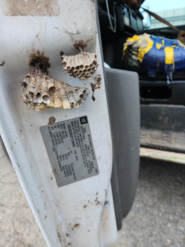 2007 Chevrolet Express G2500 VIN: 1GCGG25V271128495 Lot: 70349525