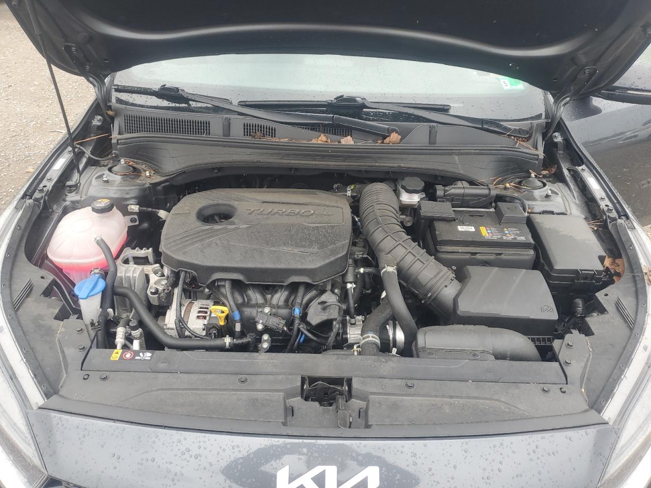 2023 Kia Forte Gt VIN: 3KPF44AC4PE511128 Lot: 81941875