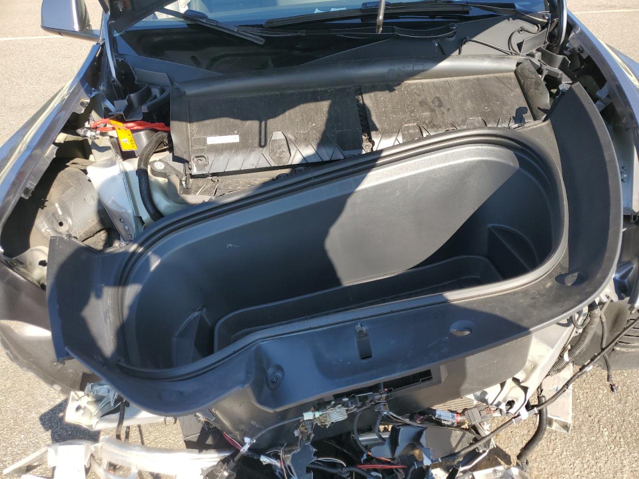 2025 Tesla Model Y VIN: 7SAYGDEE5SF288468 Lot: 80019675