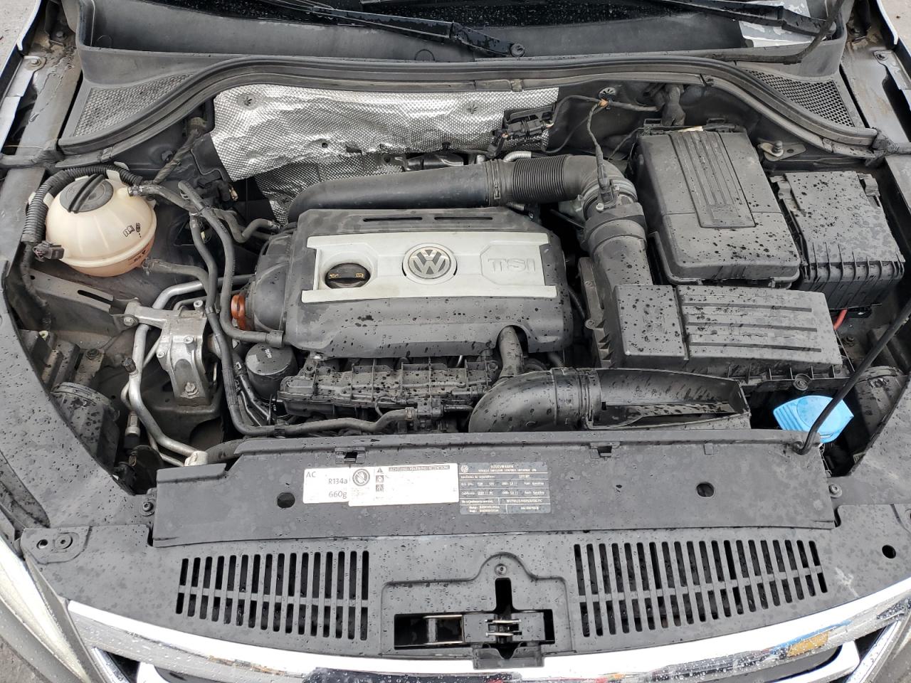 2011 Volkswagen Tiguan S VIN: WVGAV7AX2BW537801 Lot: 81484175