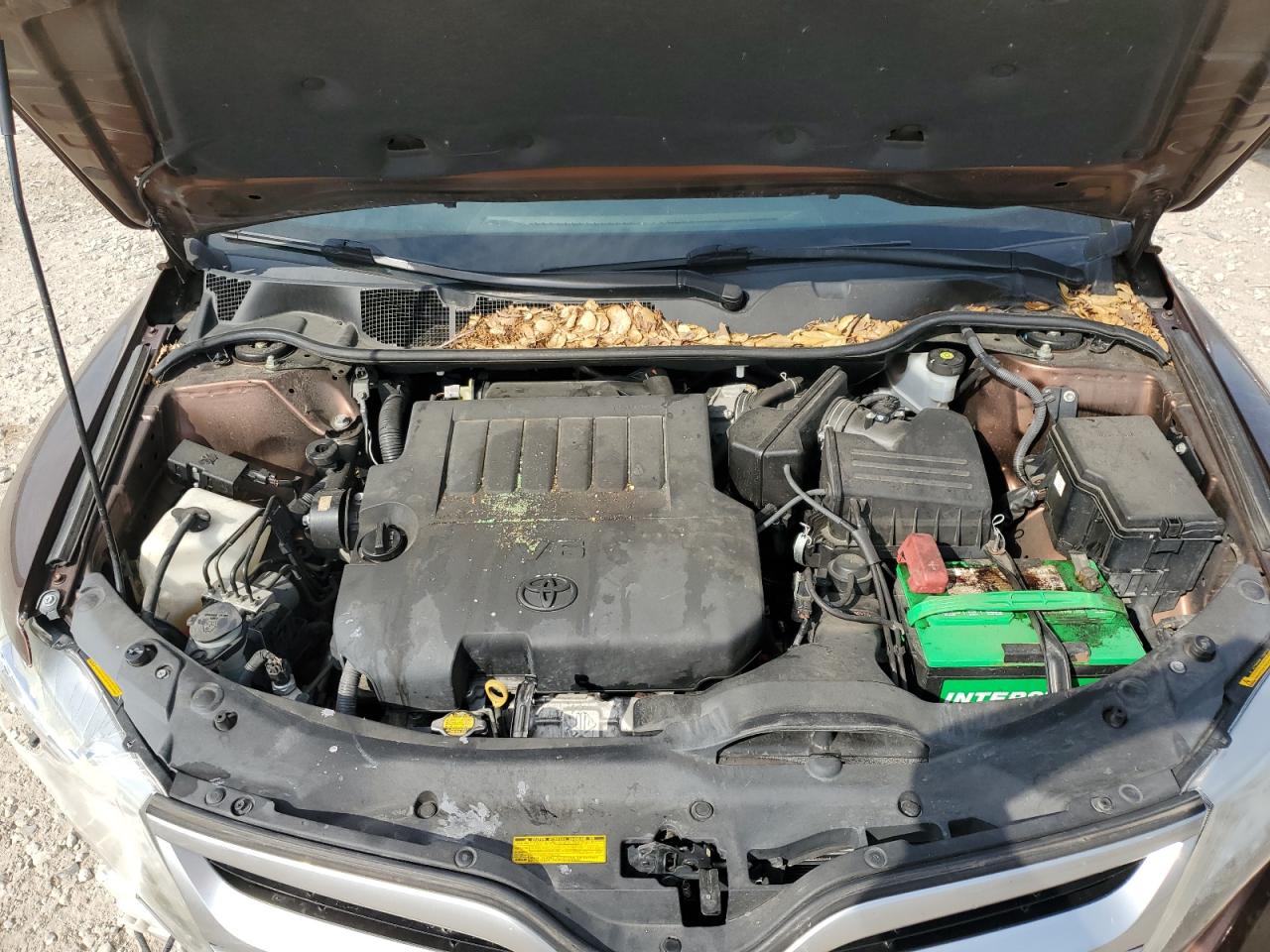 2014 Toyota Venza Le VIN: 4T3ZK3BB3EU063923 Lot: 80526005