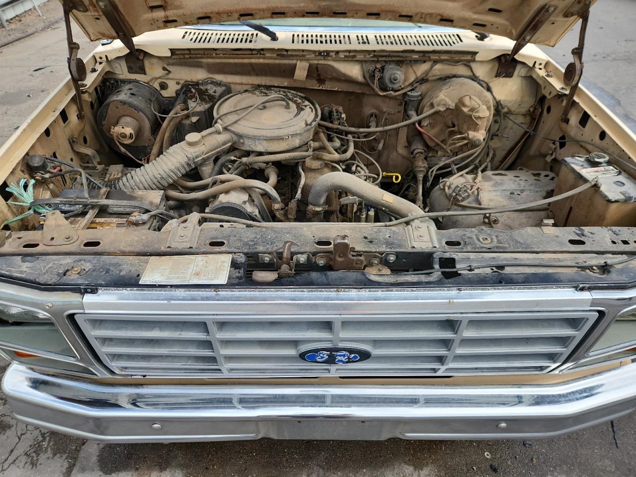 1984 Ford F150 VIN: 1FTEF14Y8EPB05989 Lot: 80450295