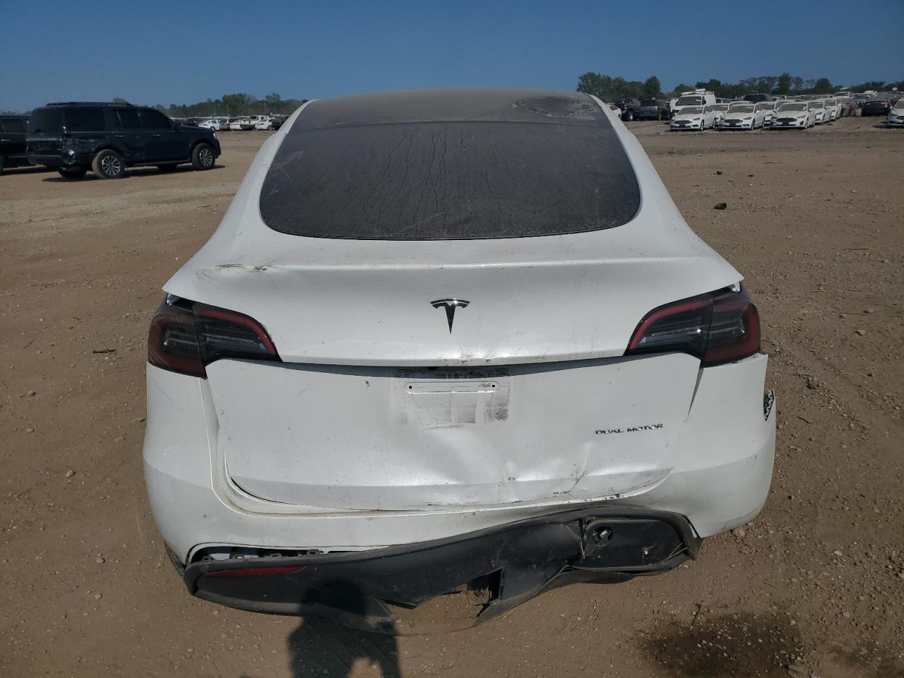 2023 Tesla Model Y VIN: 7SAYGAEE3PF788568 Lot: 80083045