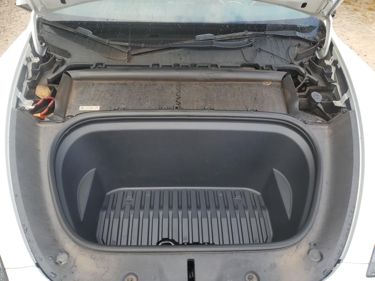 2023 Tesla Model Y VIN: 7SAYGDEE9PF644007 Lot: 81819855