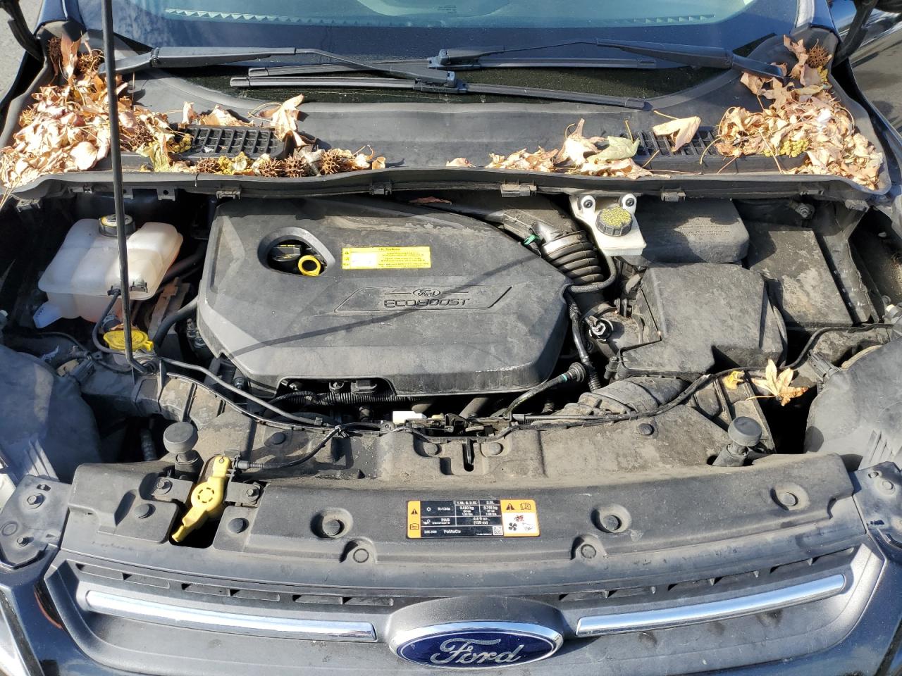 2015 Ford Escape Se VIN: 1FMCU0GXXFUB31826 Lot: 81472385