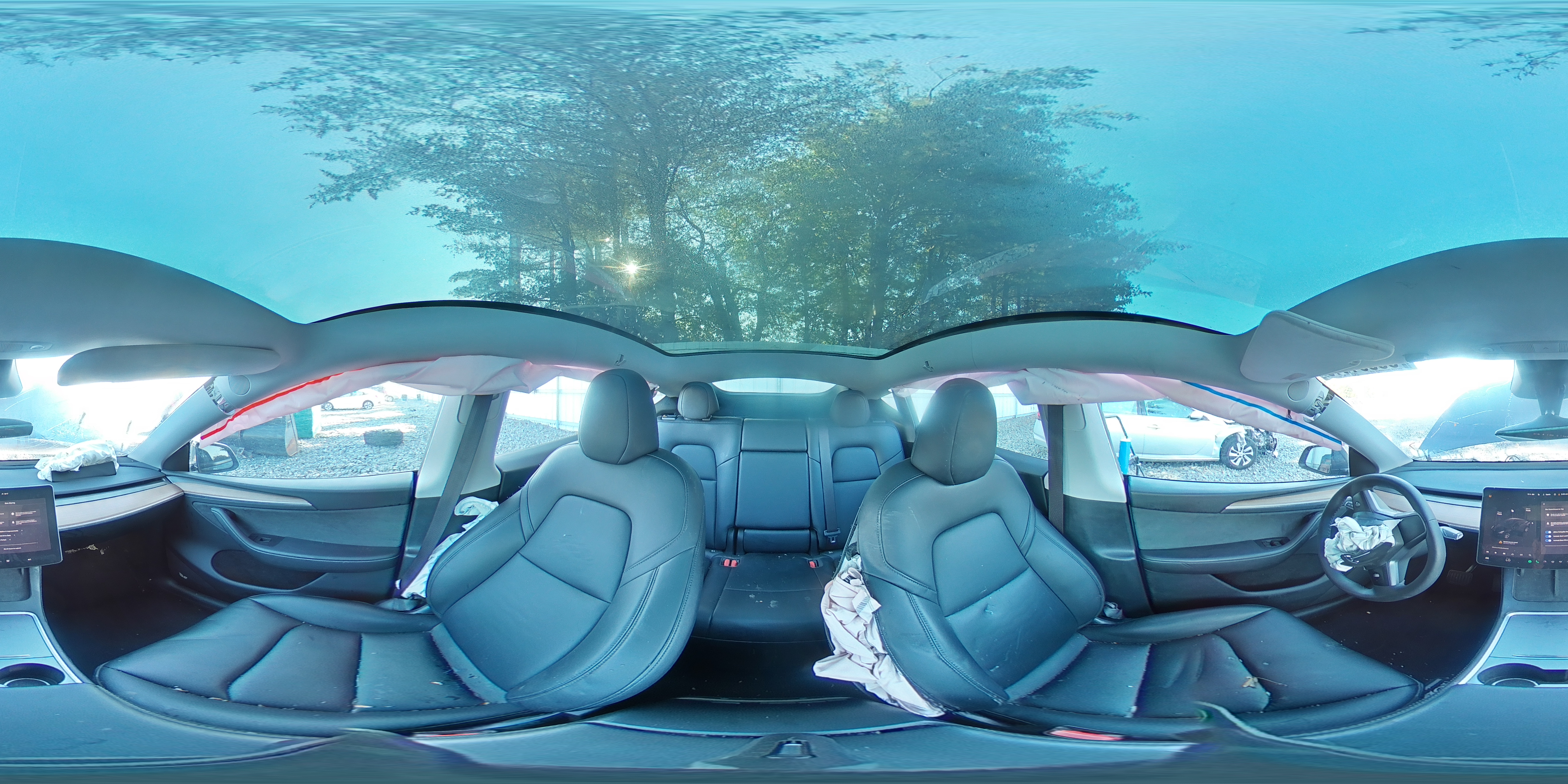 2023 Tesla Model Y VIN: 7SAYGDEE2PA210900 Lot: 80301515