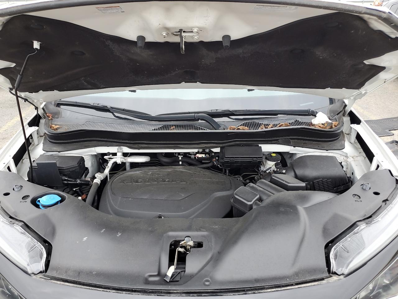 2021 Honda Pilot Se VIN: 5FNYF6H27MB065042 Lot: 81595595