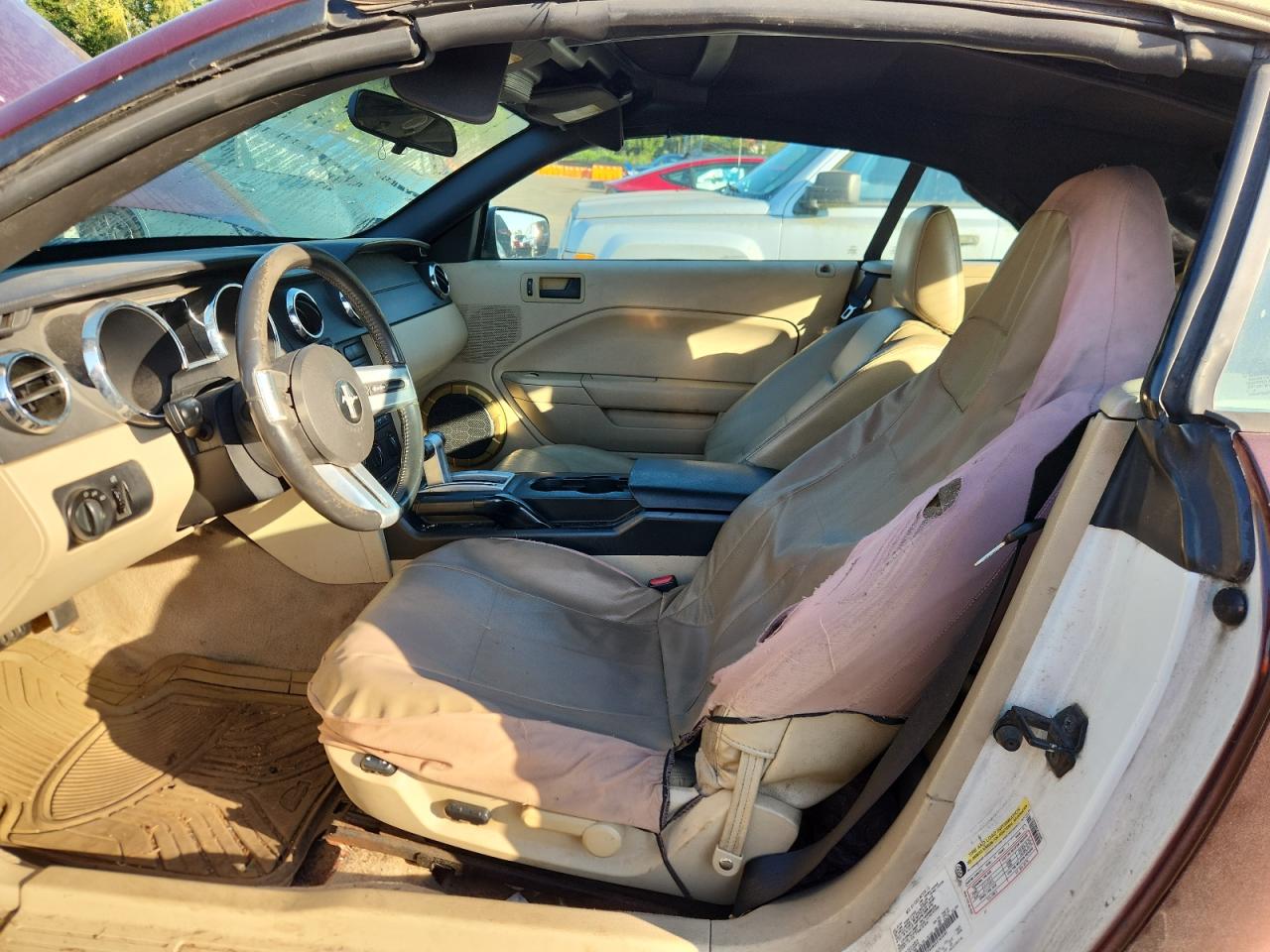 2005 Ford Mustang VIN: 1ZVFT84NX55165695 Lot: 81663855