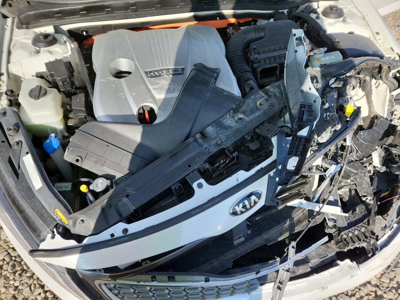 2016 Kia Optima Hybrid VIN: KNAGM4AD8G5093632 Lot: 80374335